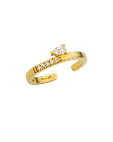 Shiny Precious Ring