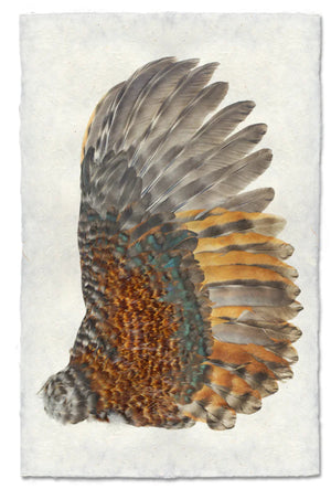 Rooster wing (right)