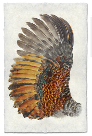 Rooster Wing (left)