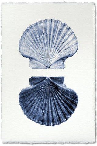 Double Shell