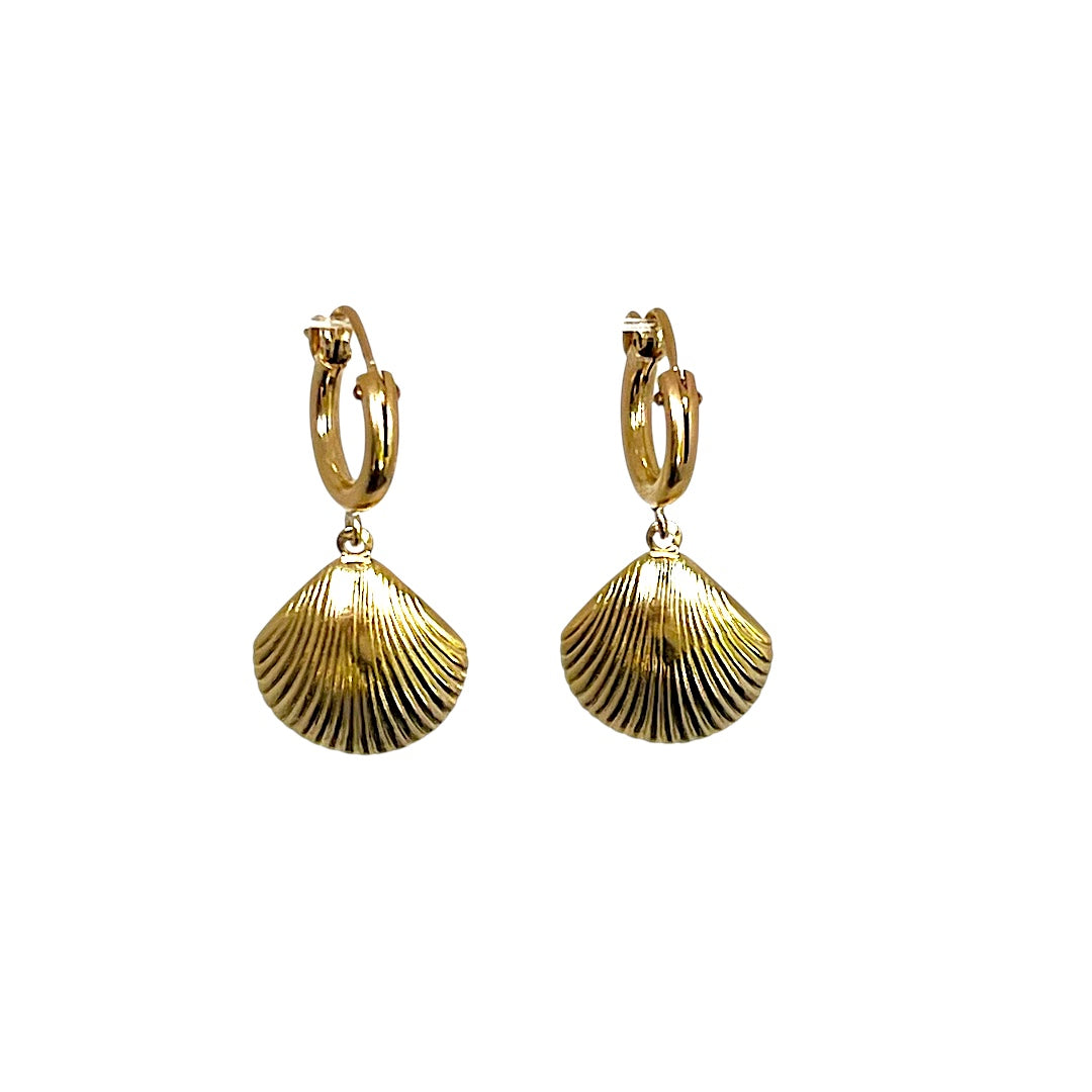 Shall Shell Gold Shell Huggies – SHALLA WISTA STUDIO