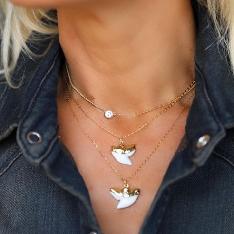 White Shark Tooth Necklace