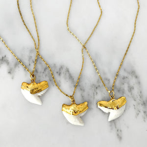 White Shark Tooth Necklace
