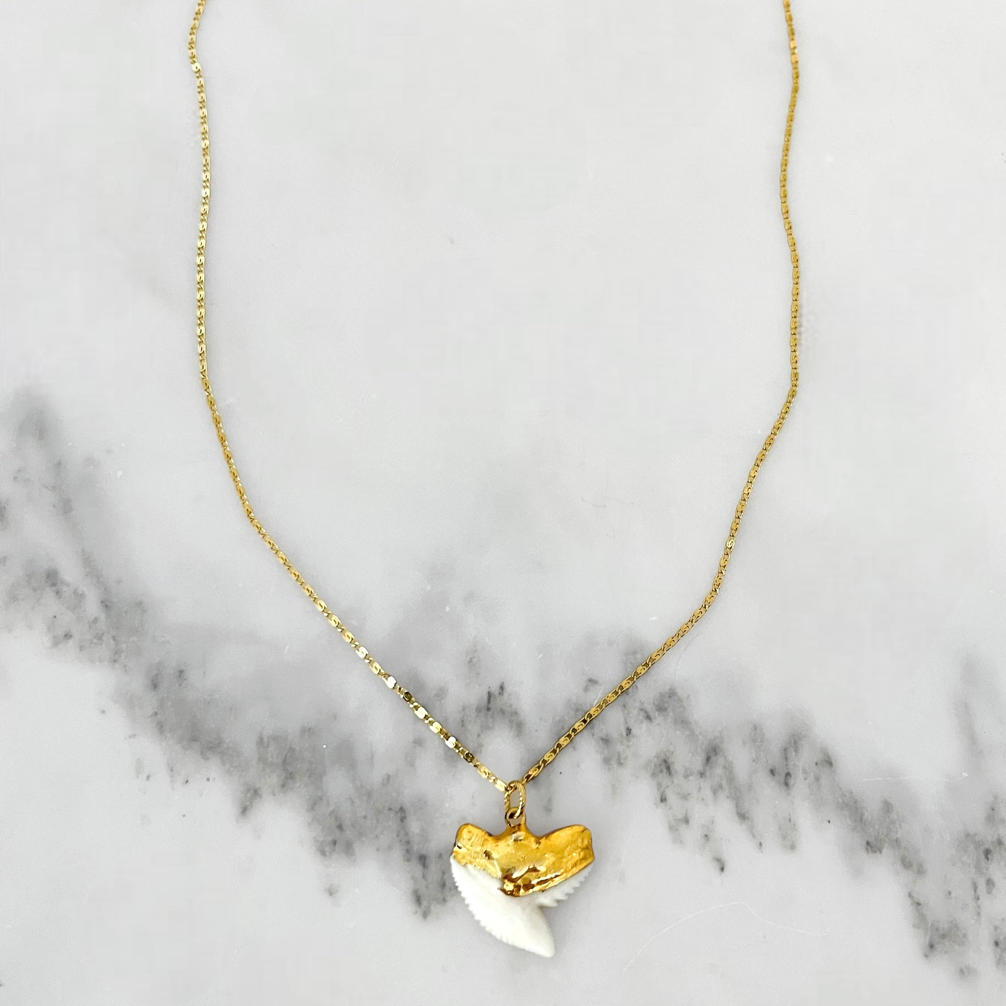 White Shark Tooth Necklace – SHALLA WISTA STUDIO